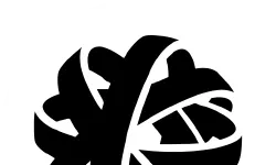Featured image of post Wintec